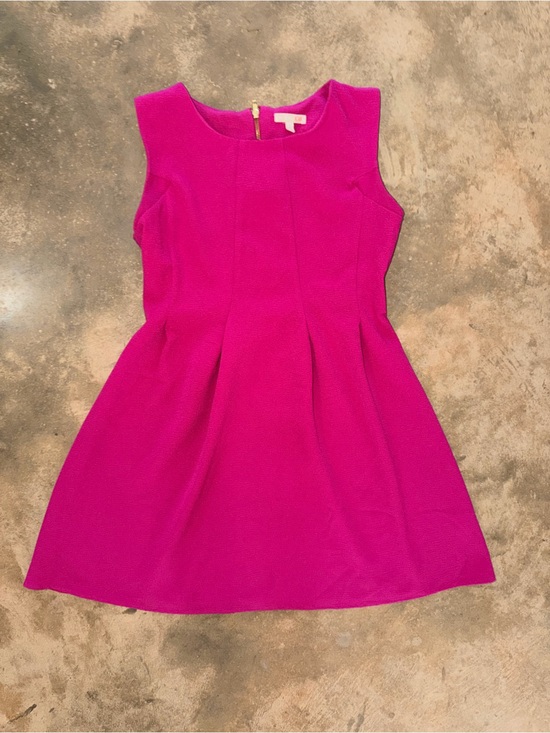 Gianni Bini Dresses & Skirts - Gianni Bini Fuchsia Textured Fit & Flare Dress Sleeveless Zip Back Size Large